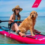 Bluefin SUP Cruise 10'8 Inflatable Paddle Board| Adult Board| Cruise 10'8 SUP|Paddle Board Accessories Included